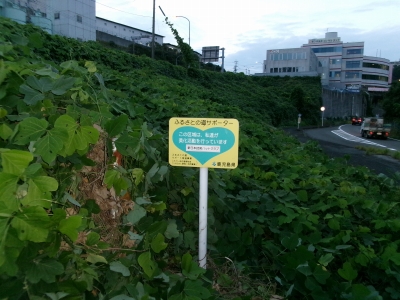바카라 양방 배팅